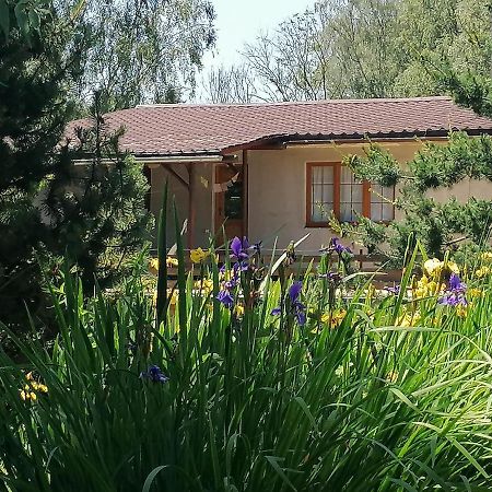 Villa Bydlinská zahrádka Těšíkov Šternberk Esterno foto