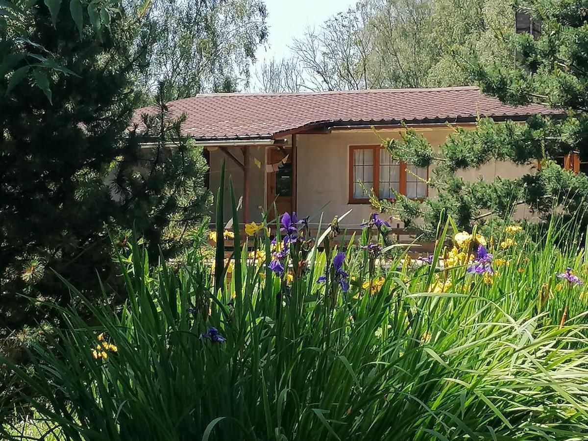 Villa Bydlinská zahrádka Těšíkov Šternberk Esterno foto